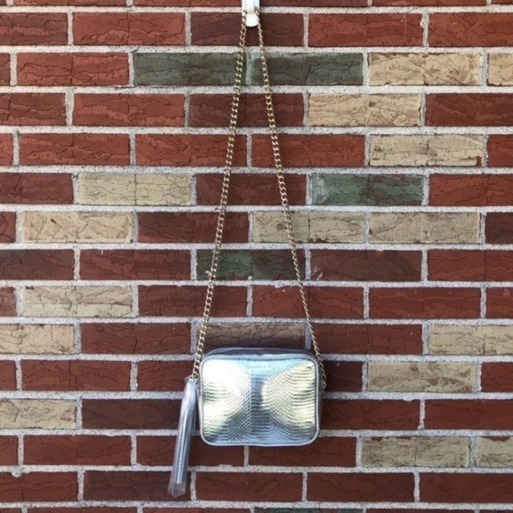 NWOT Victoria’s Secret Silver Snake Print Chain Purse Pocketbook Crossbody Bag 👜